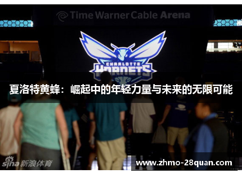 夏洛特黄蜂：崛起中的年轻力量与未来的无限可能